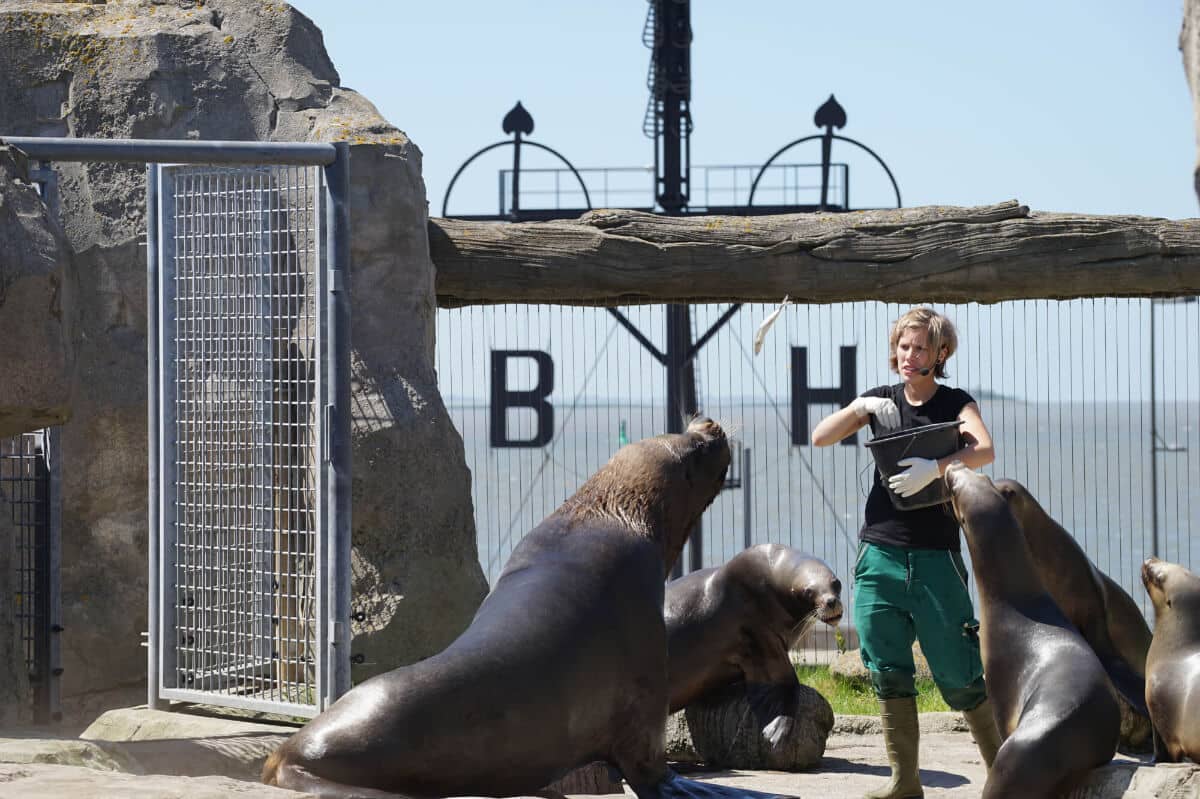 Zoo am Meer